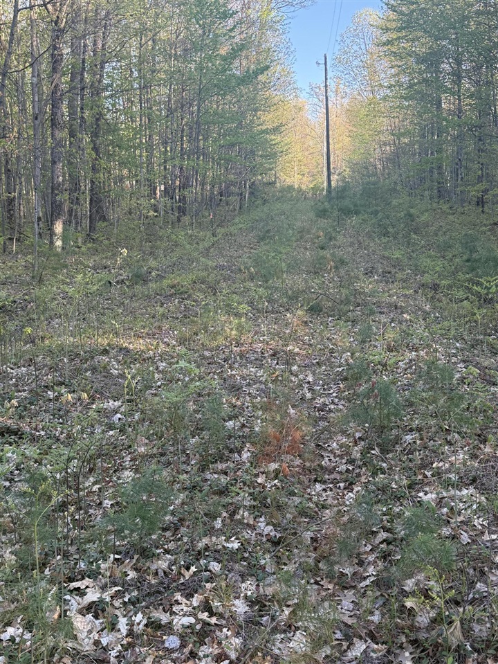 3rd image of N Woodland Ave, Bitely, MI 49309 | MLS# 70543441
