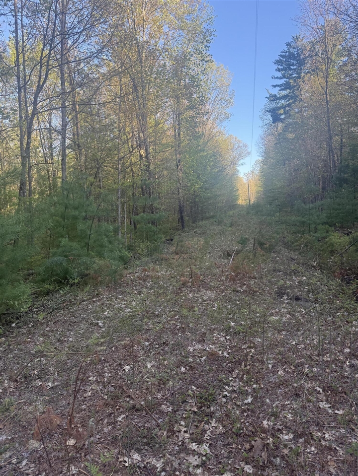 4th image of N Woodland Ave, Bitely, MI 49309 | MLS# 70543441