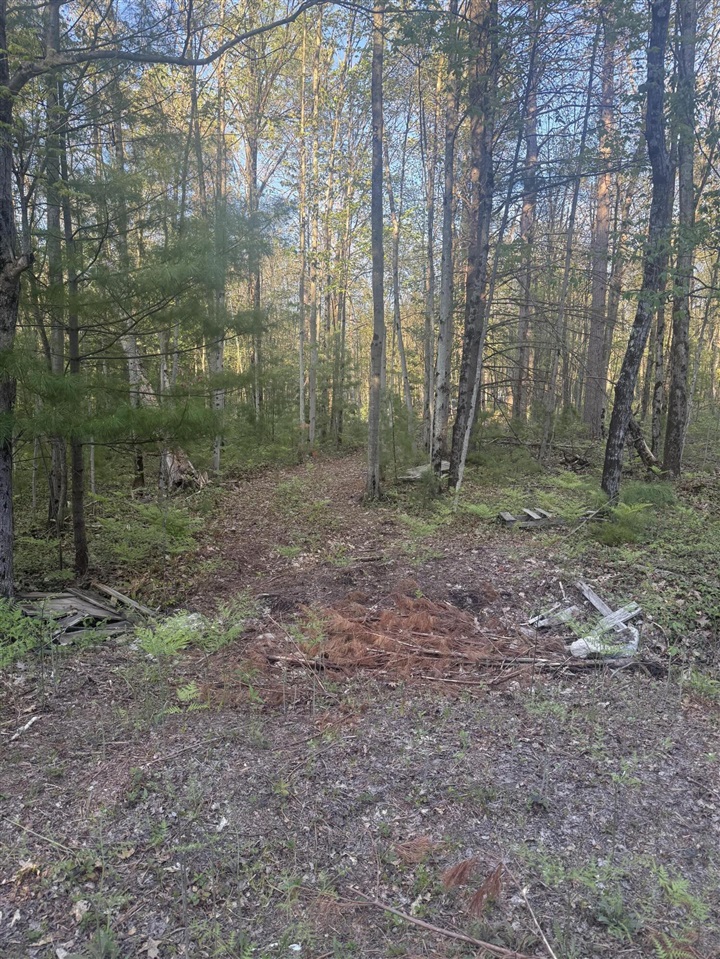 5th image of N Woodland Ave, Bitely, MI 49309 | MLS# 70543441
