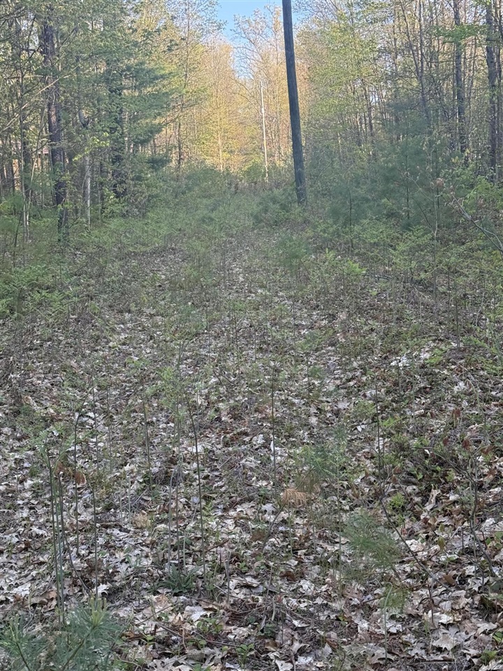 6th image of N Woodland Ave, Bitely, MI 49309 | MLS# 70543441