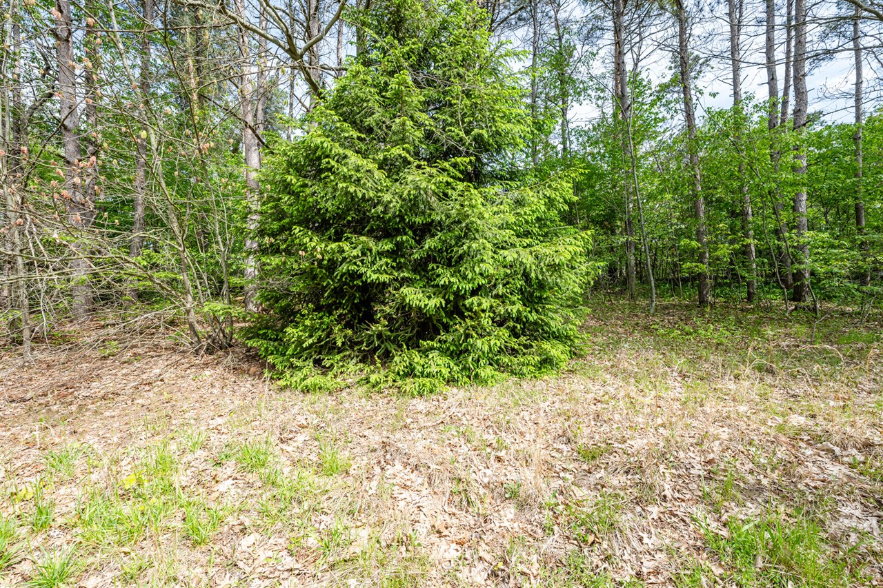 Photo 2 of Land for sale at 0a Linke Rd, Bridgman, MI 49106 | MLS# 70543659 | Listing updated on 2026-09-17