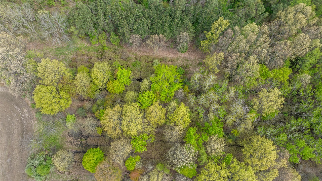 Photo 4 of Land for sale at 0a Linke Rd, Bridgman, MI 49106 | MLS# 70543659 | Listing updated on 2026-09-17