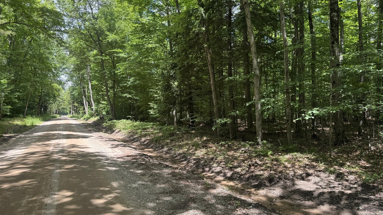 Photo 3 of Land for sale at V/l S 35 Road, Cadillac, MI 49601 | MLS# 70543836 | Listing updated on 2026-10-05