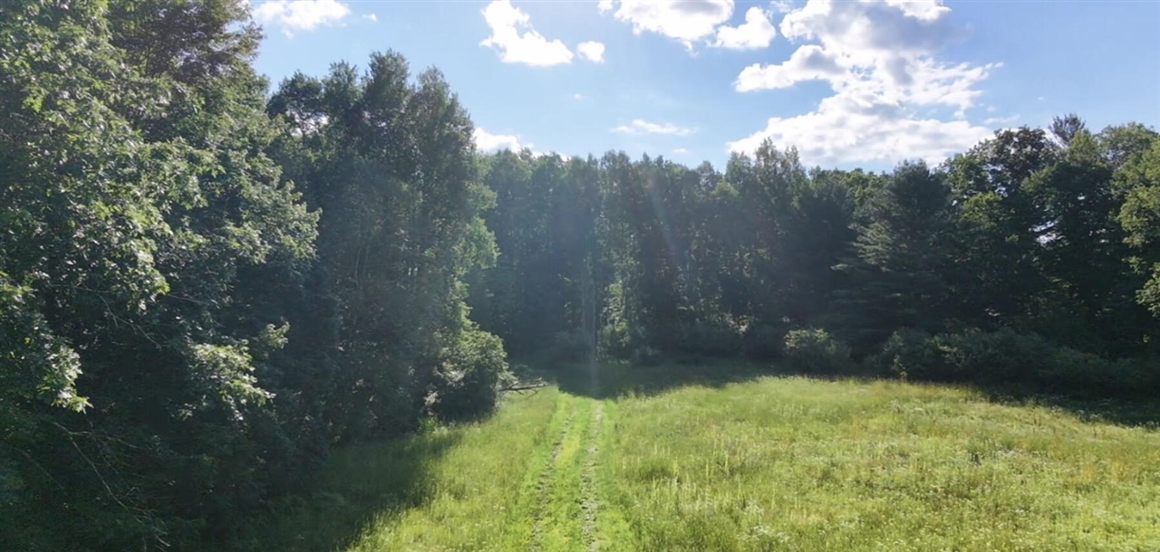 2nd image of V/l Woods Rd, Sidney, MI 48885 | MLS# 70543986