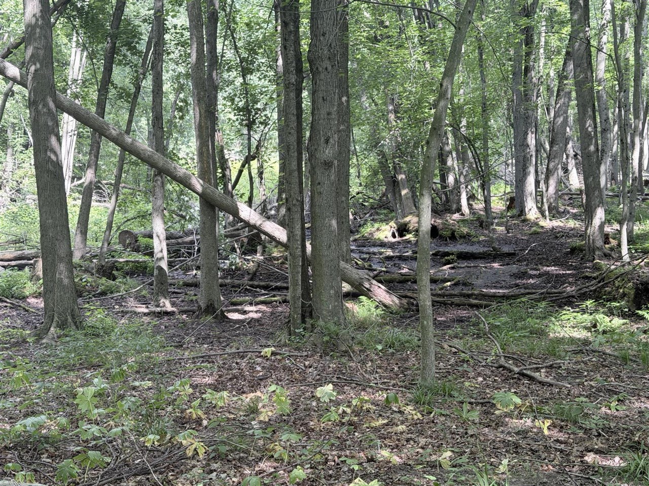 15th image of V/l Woods Rd, Sidney, MI 48885 | MLS# 70543986