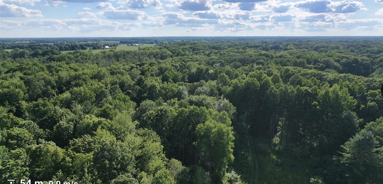 3rd image of V/L Woods Rd, Sidney, MI 48885 | MLS# 70543986