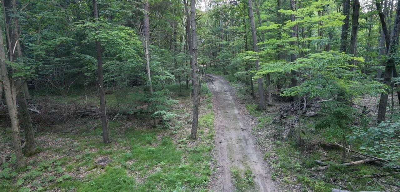 5th image of V/L Woods Rd, Sidney, MI 48885 | MLS# 70543986
