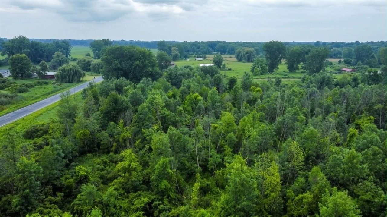 Photo 1 of Land for sale at 60196 County Rd 376, Bangor, MI 49013 | MLS# 70544589 | Listing updated on 2026-10-07