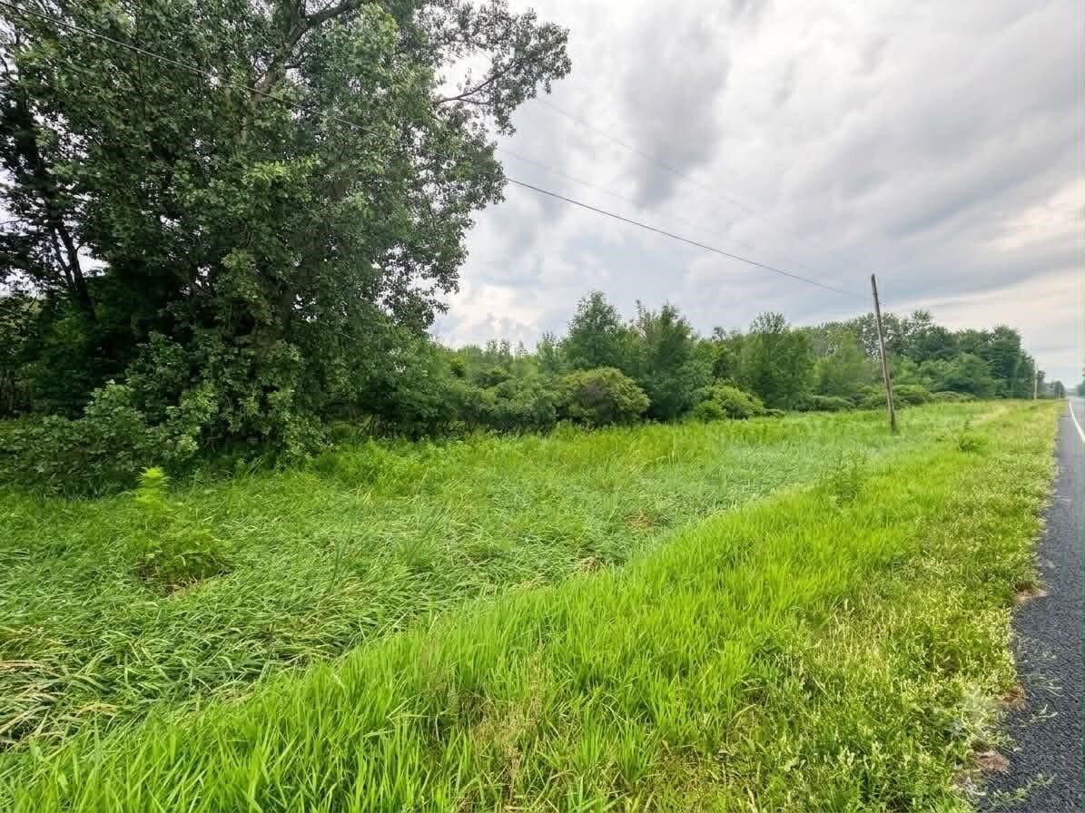 Photo 3 of Land for sale at 60196 County Rd 376, Bangor, MI 49013 | MLS# 70544589 | Listing updated on 2026-10-07