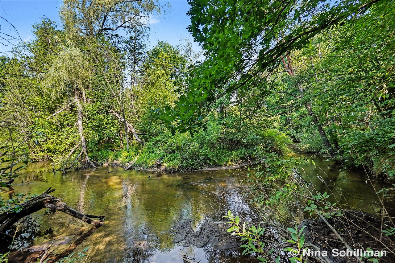 Photo 2 of Sale Pending at 3754 E White River, Hesperia, MI 49421 | MLS# 70544804 | Listing updated on 2026-09-30