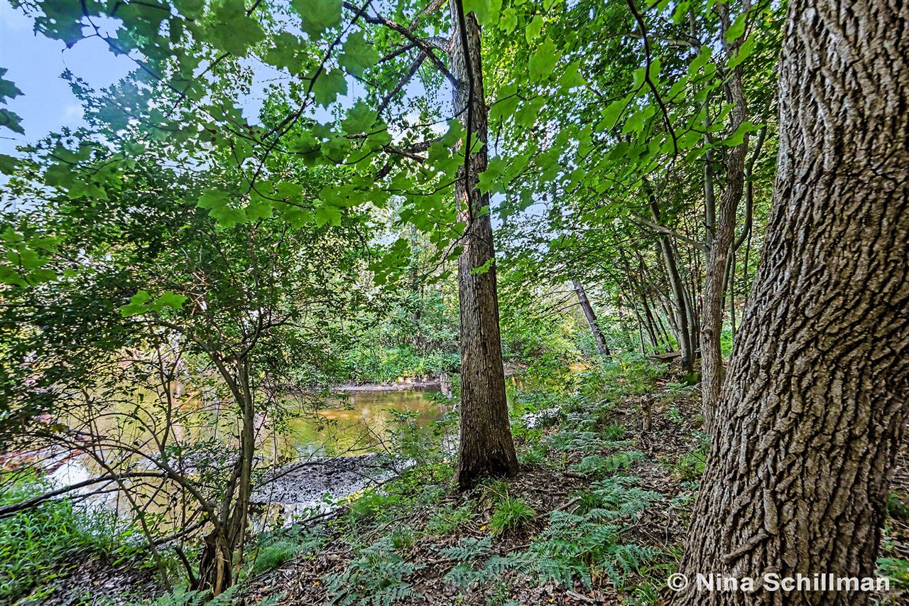 Photo 3 of Sale Pending at 3754 E White River, Hesperia, MI 49421 | MLS# 70544804 | Listing updated on 2026-09-30