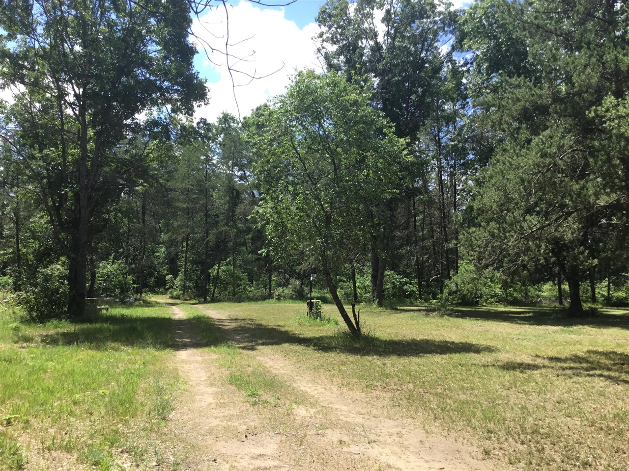 Homes for sale in Idlewild, MI | 2597 E Gladys St, Idlewild, MI 49642 | MLS# 70545098
