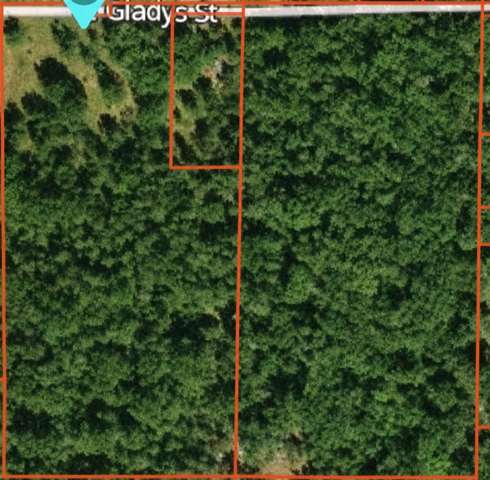 Homes for sale in Idlewild, MI | 2597 E Gladys St, Idlewild, MI 49642 | MLS# 70545098