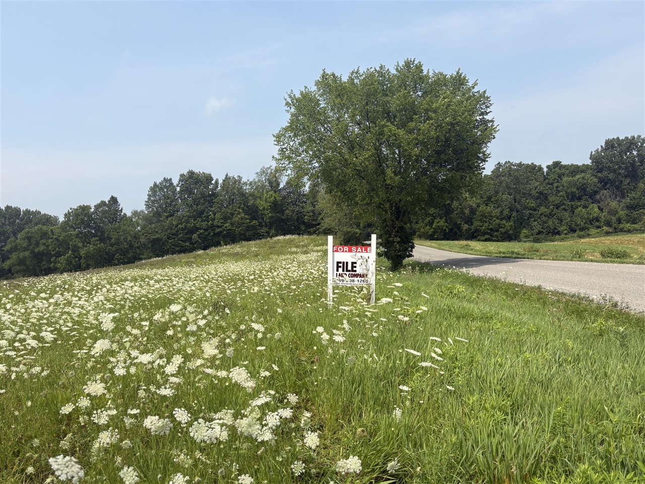 Photo 1 of Sale Pending at 210 W Wagner Rd, Buchanan, MI 49107 | MLS# 70545111 | Listing updated on 2026-09-13