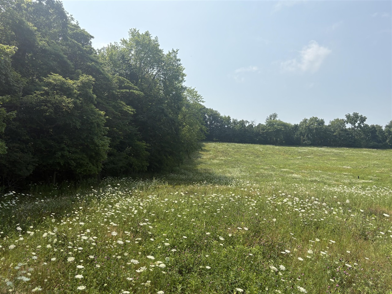 Photo 2 of Sale Pending at 210 W Wagner Rd, Buchanan, MI 49107 | MLS# 70545111 | Listing updated on 2026-09-13