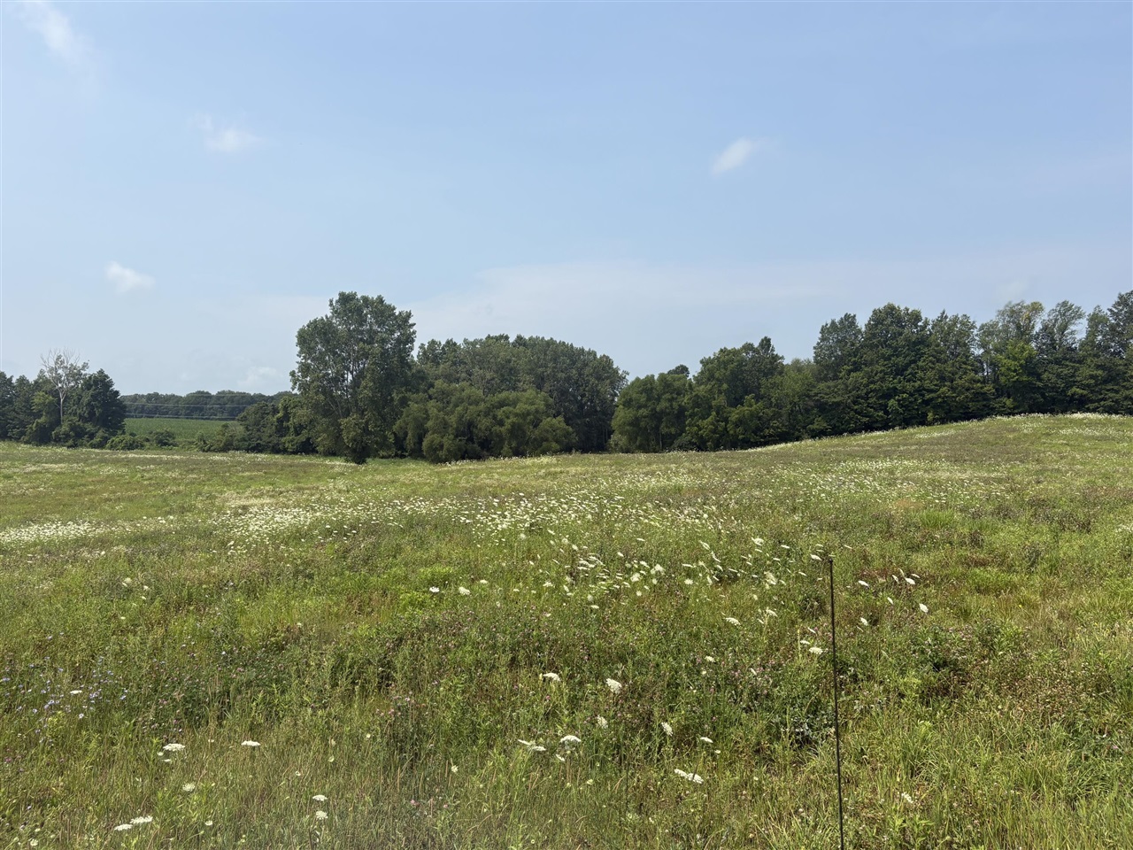 Photo 3 of Sale Pending at 210 W Wagner Rd, Buchanan, MI 49107 | MLS# 70545111 | Listing updated on 2026-09-13