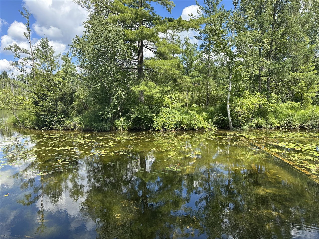 Land for sale at 1743 W 68th Street, Baldwin, MI 49304 | MLS# 70545125