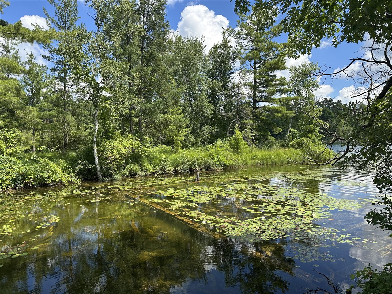 Photo 2 of Land for sale at 1743 W 68th Street, Baldwin, MI 49304 | MLS# 70545125 | Listing updated on 2026-10-05