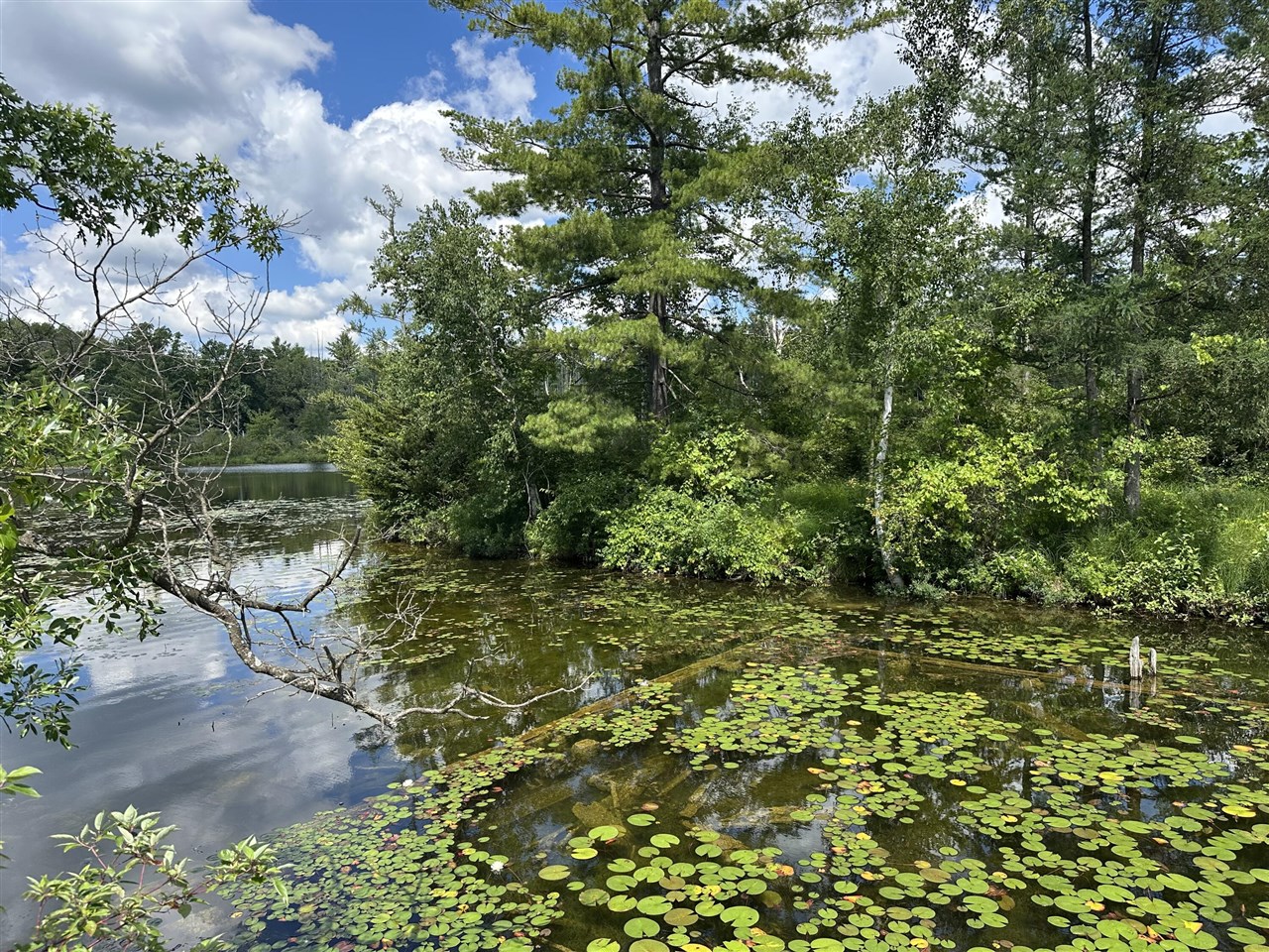 Photo 3 of Land for sale at 1743 W 68th Street, Baldwin, MI 49304 | MLS# 70545125 | Listing updated on 2026-10-05