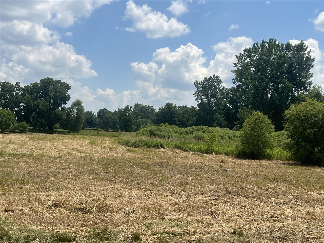 1st image of 3985 Robert Lane, Ann Arbor, MI 48103 | MLS# 70545238