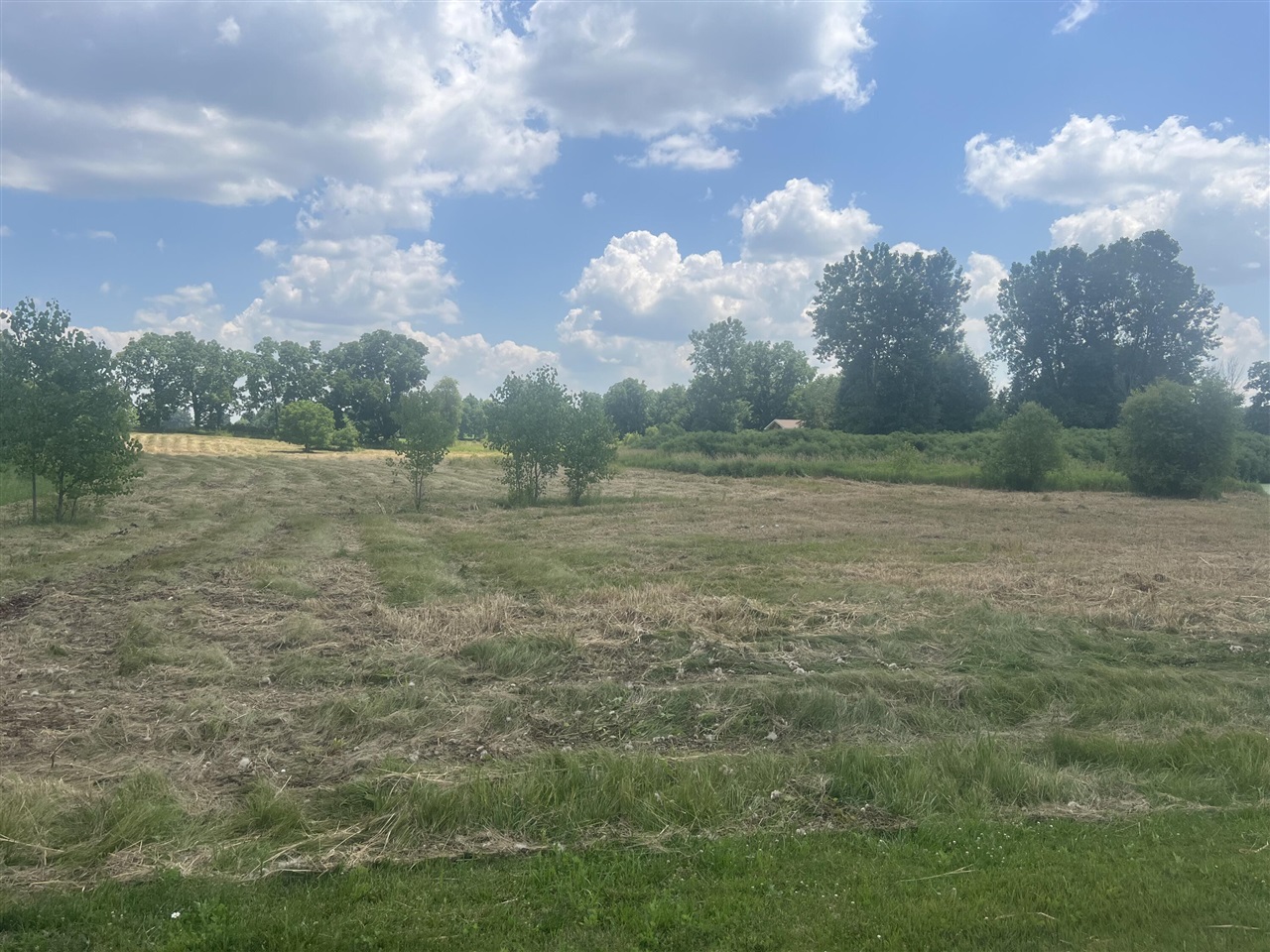 2nd image of 3985 Robert Lane, Ann Arbor, MI 48103 | MLS# 70545238
