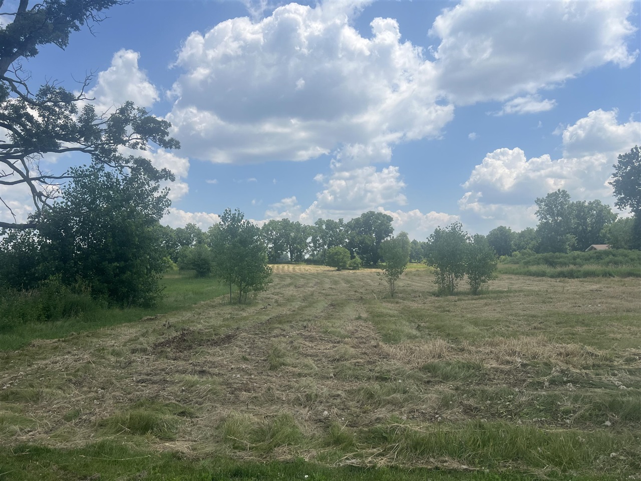 4th image of 3985 Robert Lane, Ann Arbor, MI 48103 | MLS# 70545238