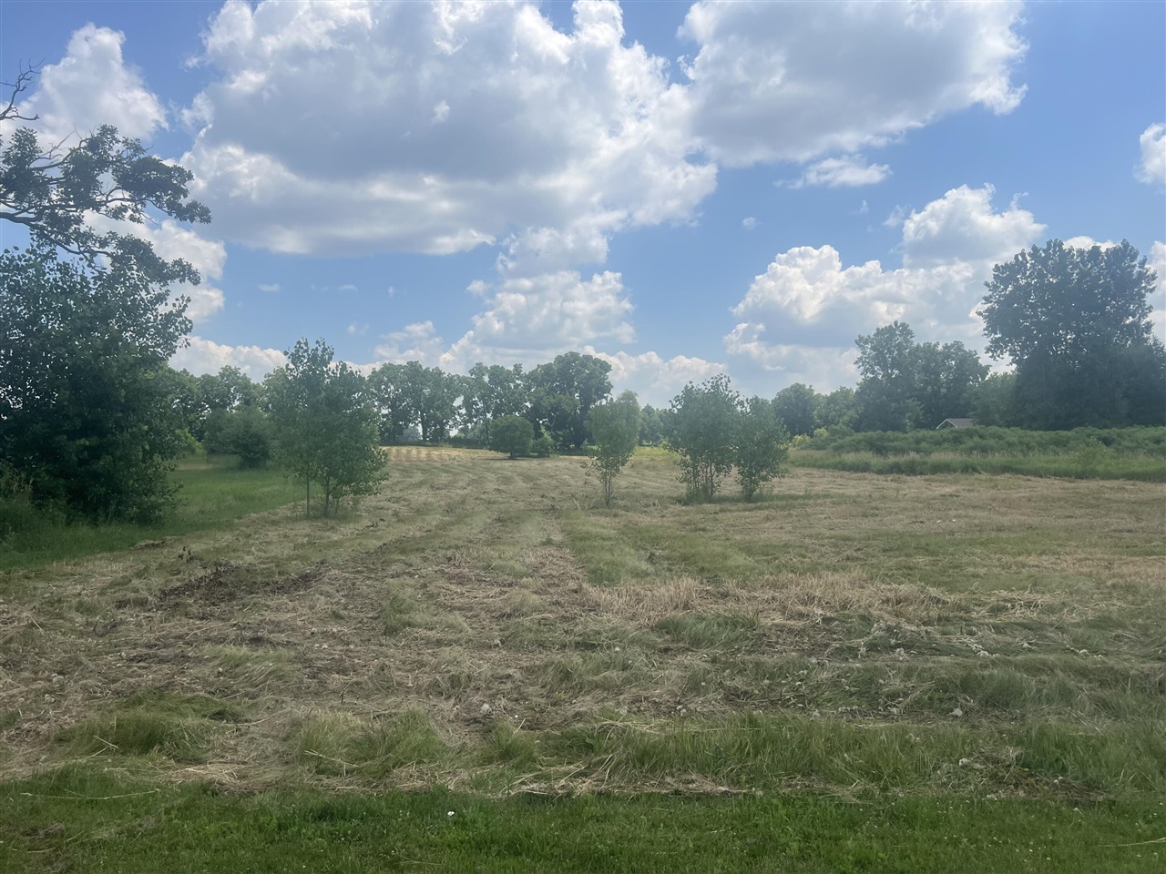 5th image of 3985 Robert Lane, Ann Arbor, MI 48103 | MLS# 70545238