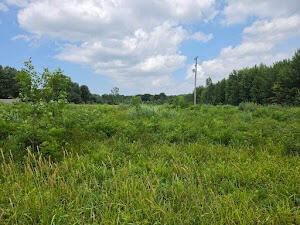 4th image of V/L Taft St, Fruitport, MI 49415 | MLS# 70545346