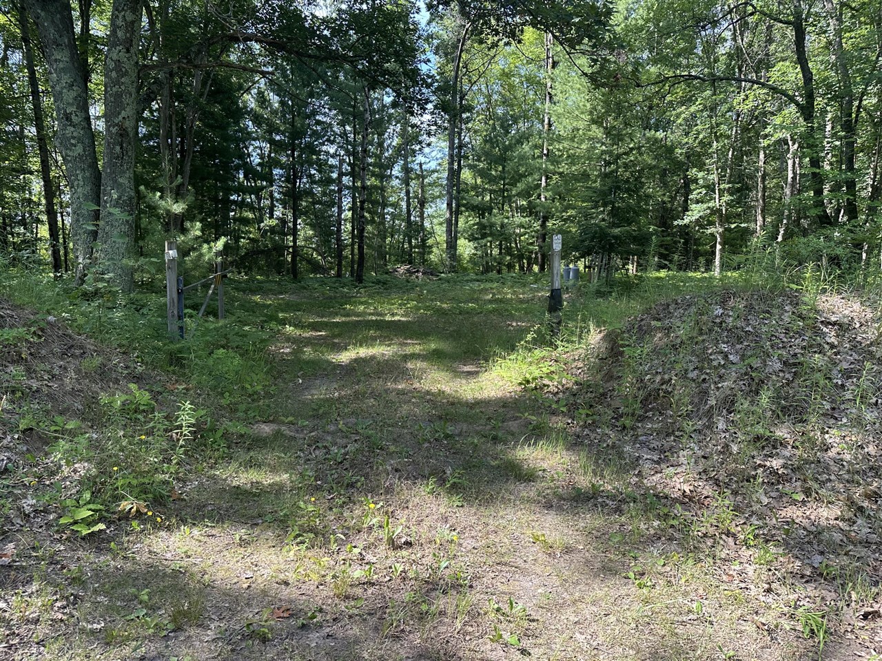 1st image of 802 Beaver Rd, Bitely, MI 49309 | MLS# 70545732