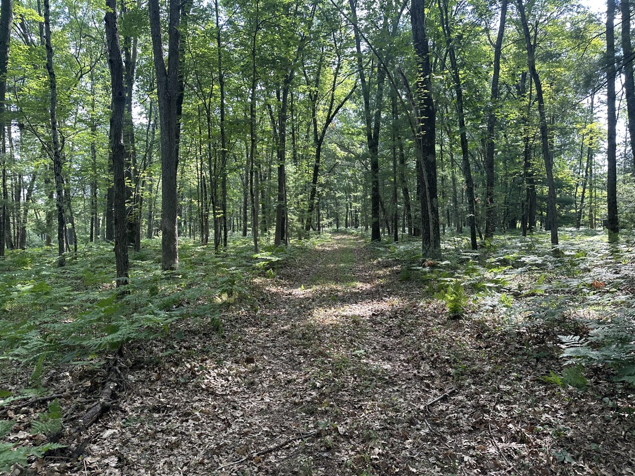 12th image of 802 Beaver Rd, Bitely, MI 49309 | MLS# 70545732