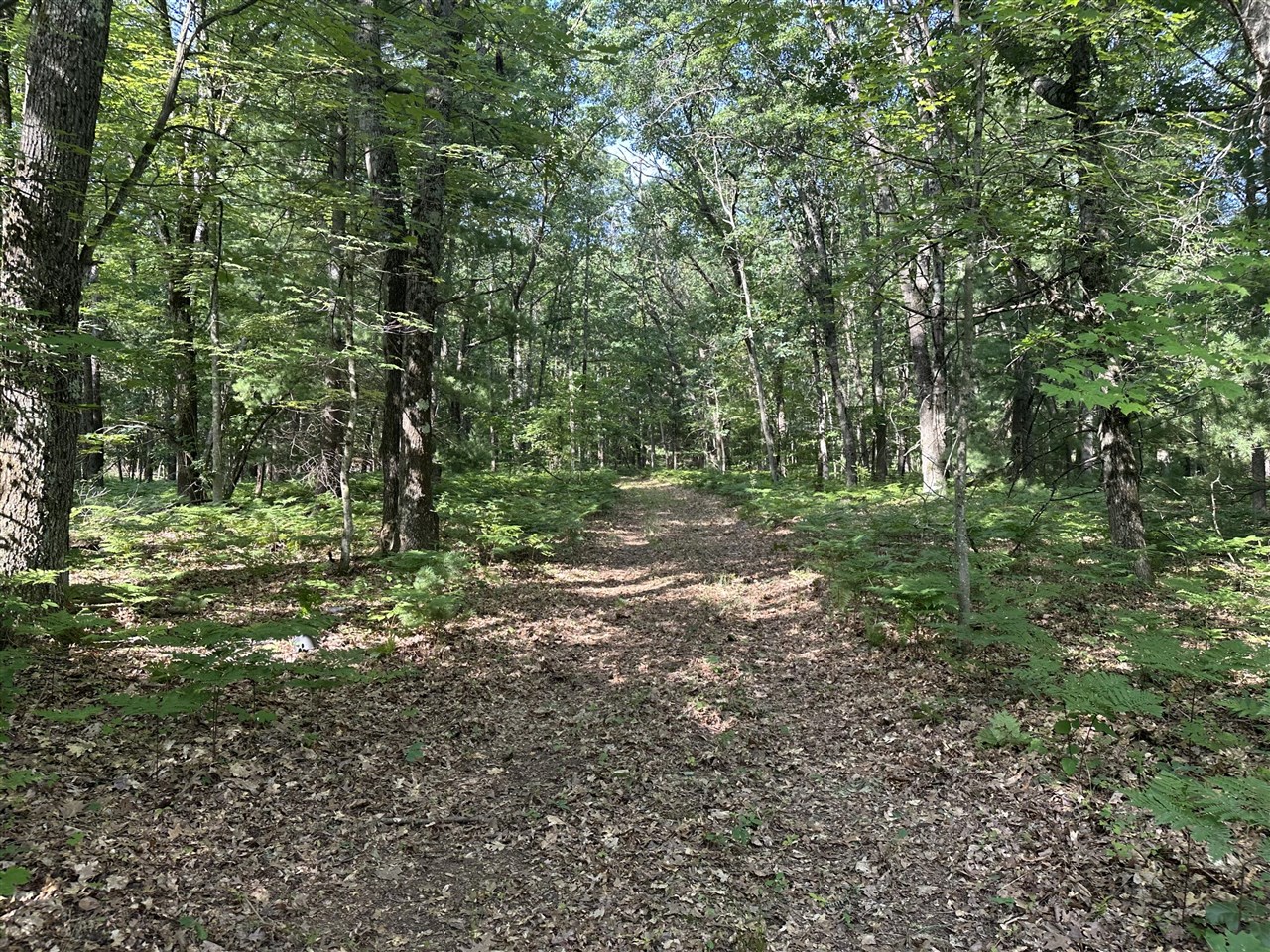 4th image of 802 Beaver Rd, Bitely, MI 49309 | MLS# 70545732