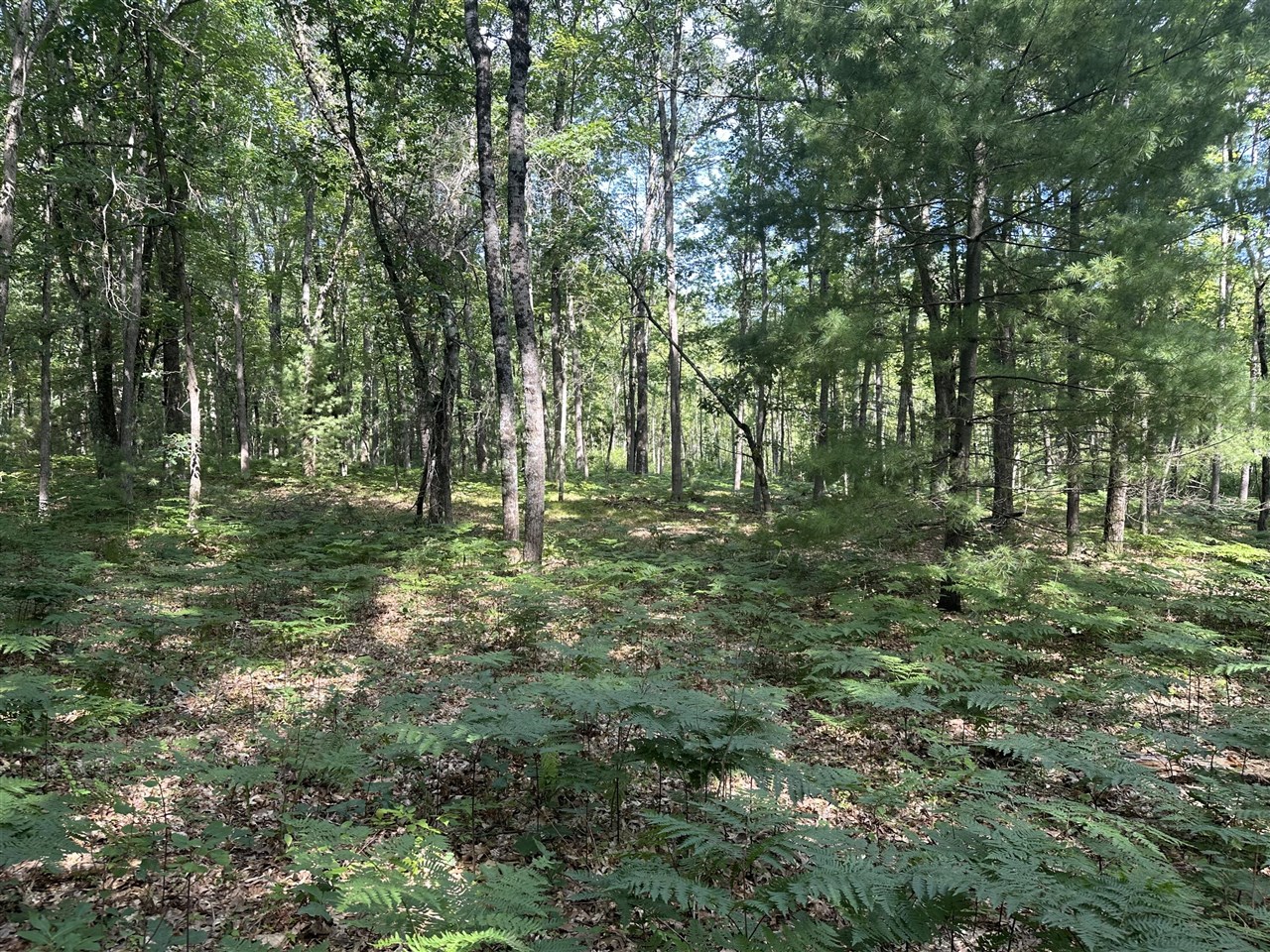 5th image of 802 Beaver Rd, Bitely, MI 49309 | MLS# 70545732