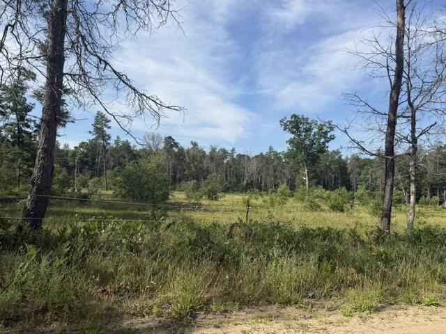 45th image of 2045 S Hill Rd, Baldwin, MI 49304 | MLS# 70545812