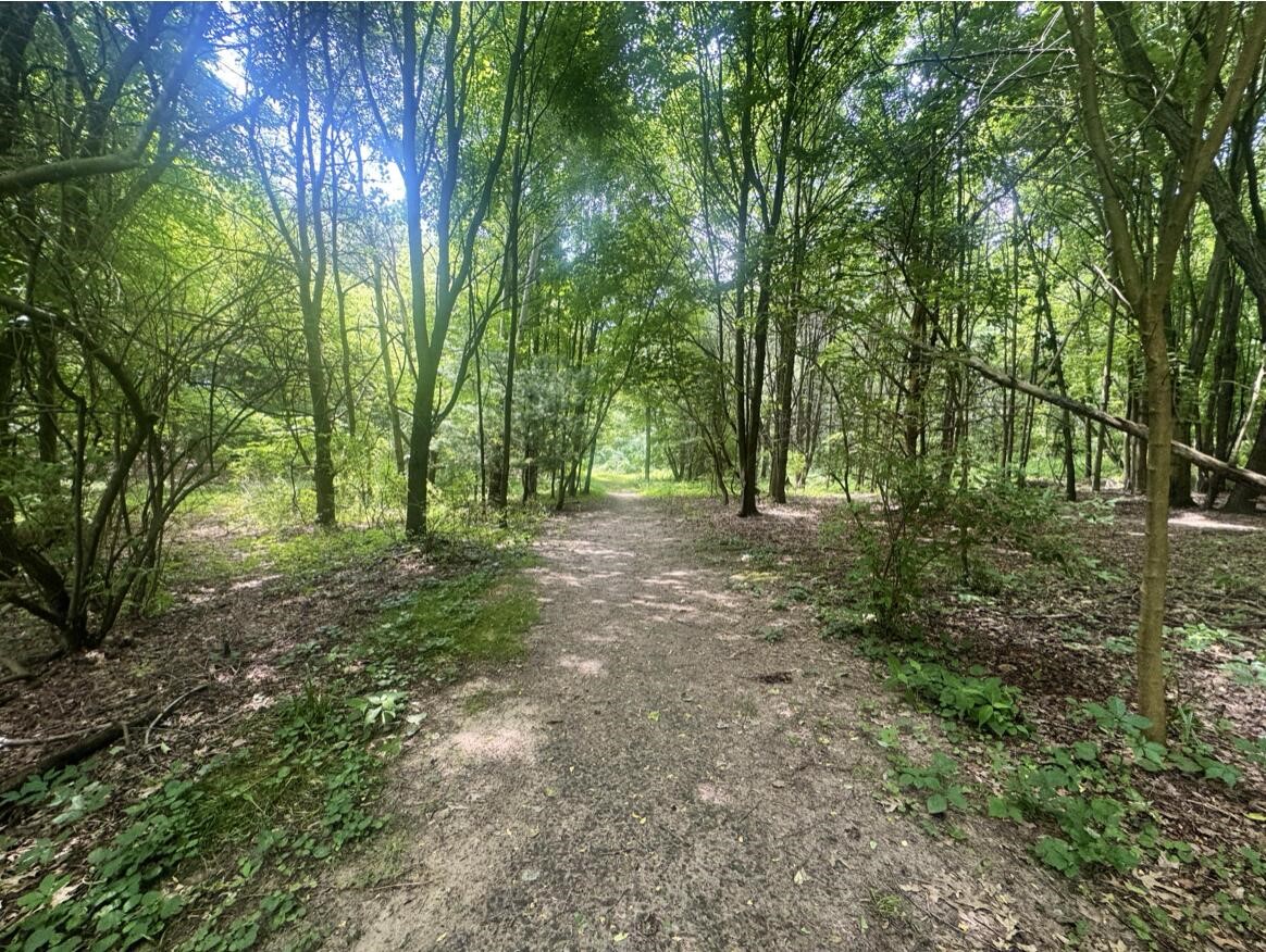 1st image of 7705 Youngman Rd, Greenville, MI 48838 | MLS# 70545815