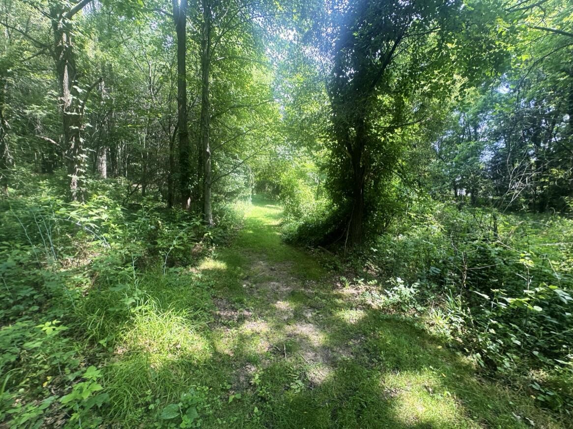 2nd image of 7705 Youngman Rd, Greenville, MI 48838 | MLS# 70545815