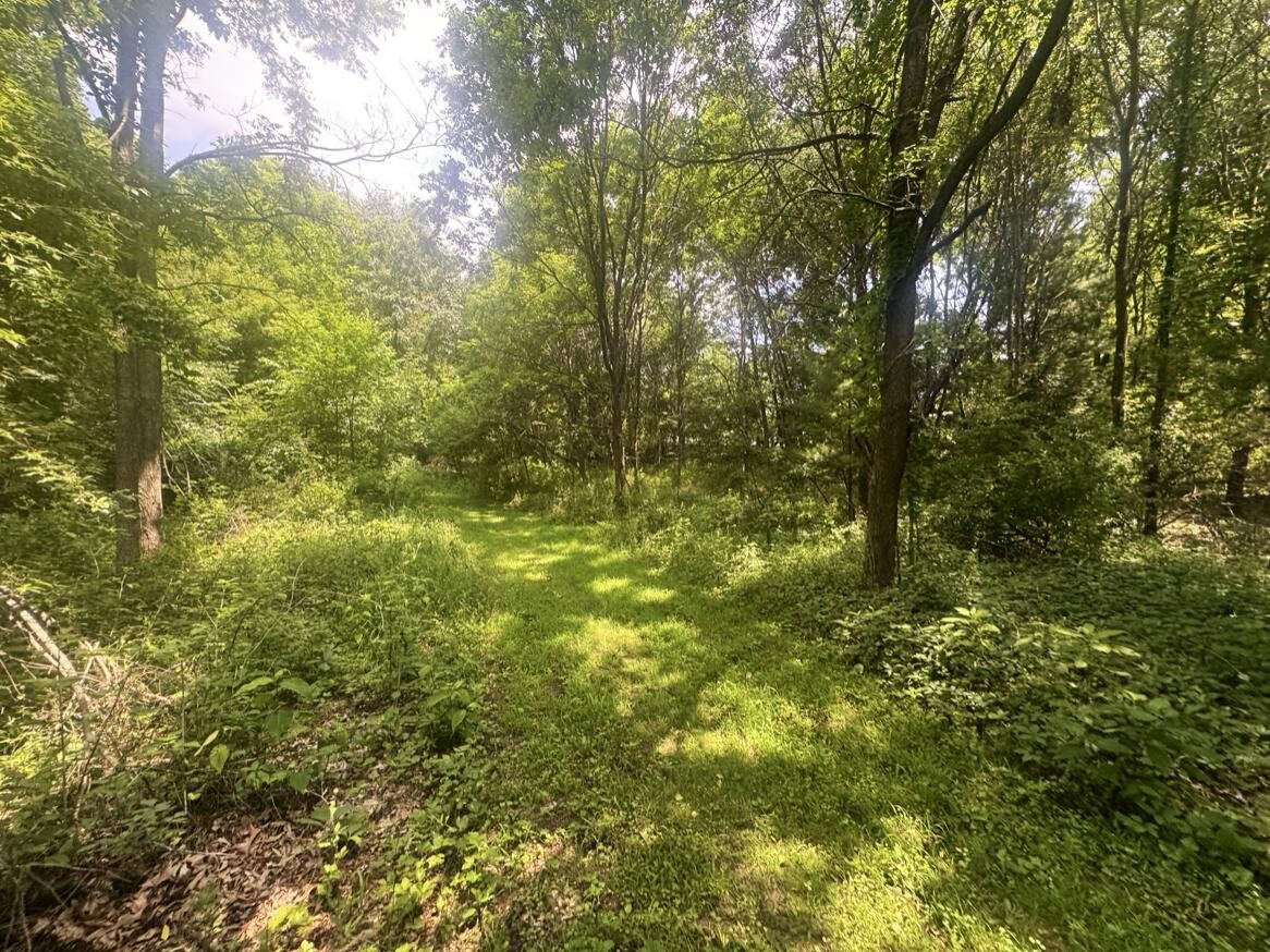 3rd image of 7705 Youngman Rd, Greenville, MI 48838 | MLS# 70545815