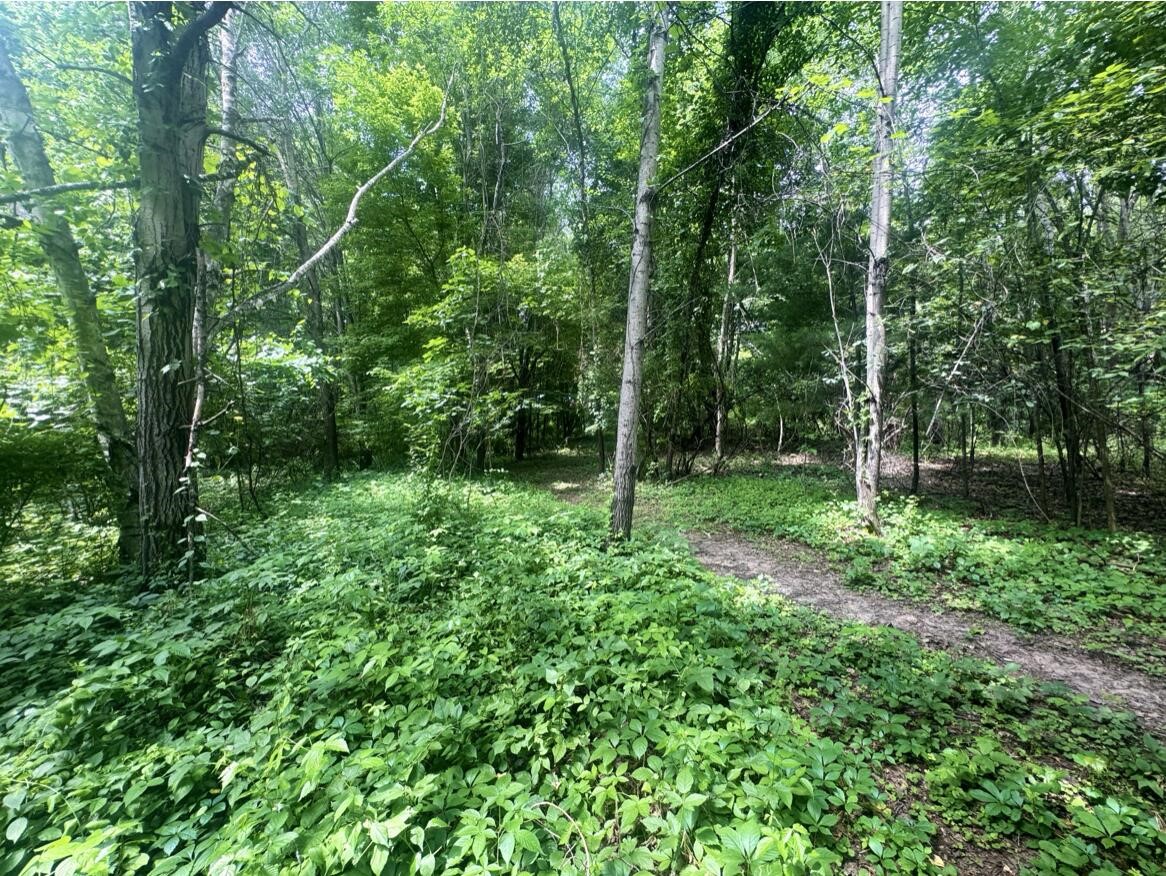 4th image of 7705 Youngman Rd, Greenville, MI 48838 | MLS# 70545815