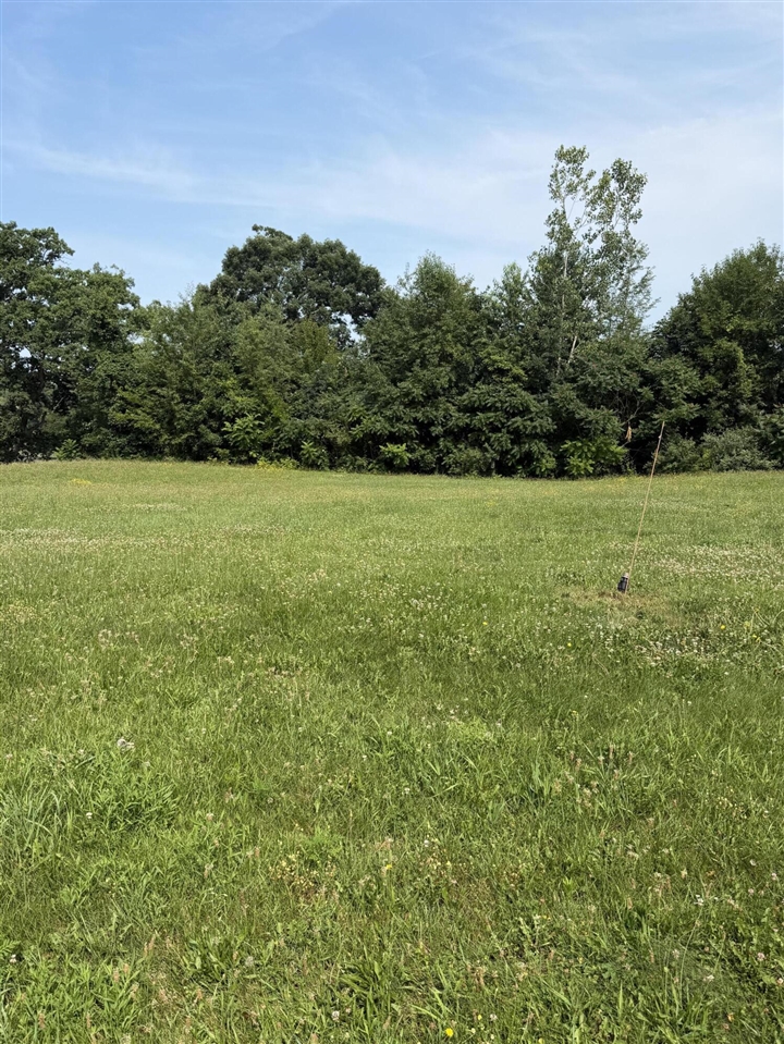 2nd image of V/l19 Old 16 Rd, Centreville, MI 49032 | MLS# 70545841