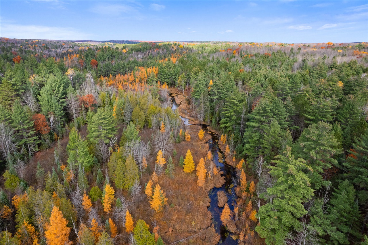Photo 3 of Land for sale at V/l Glenrose Dr, Wolverine, MI 49799 | MLS# 70545912 | Listing updated on 2026-09-28