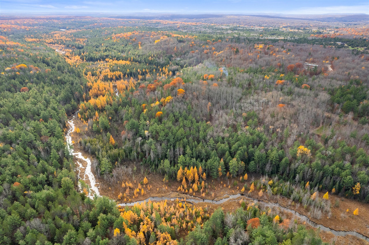 Photo 4 of Land for sale at V/l Glenrose Dr, Wolverine, MI 49799 | MLS# 70545912 | Listing updated on 2026-09-28