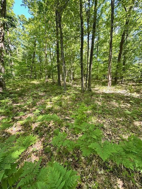 Land for sale at Par A 15 Mile Rd, Big Rapids, MI 49307 | MLS# 70546106