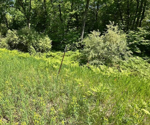 Photo 2 of Land for sale at Par A 15 Mile Rd, Big Rapids, MI 49307 | MLS# 70546106 | Listing updated on 2026-09-16