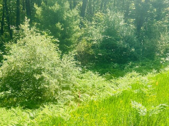 Photo 3 of Land for sale at Par A 15 Mile Rd, Big Rapids, MI 49307 | MLS# 70546106 | Listing updated on 2026-09-16