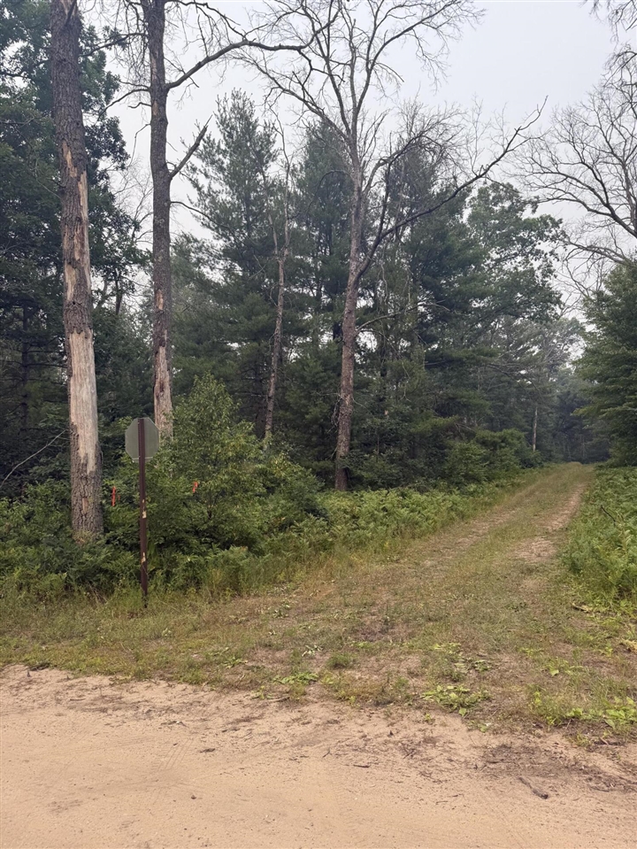 1st image of S Fifth St, Baldwin, MI 49304 | MLS# 70546609