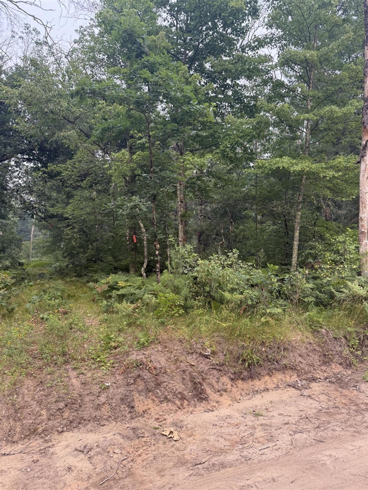 2nd image of S Fifth St, Baldwin, MI 49304 | MLS# 70546609