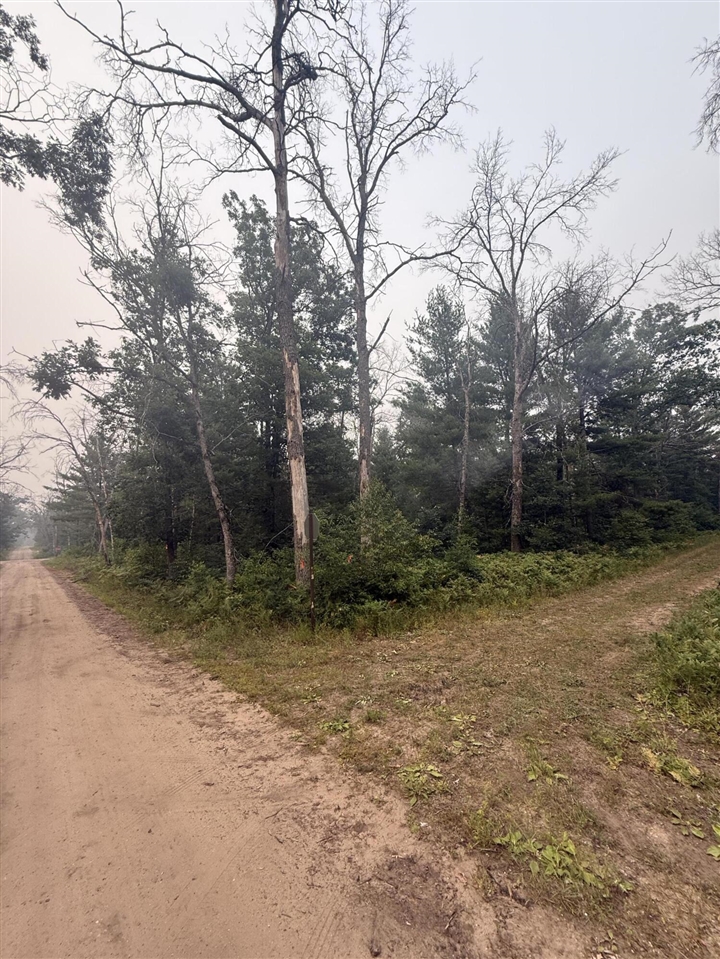 4th image of S Fifth St, Baldwin, MI 49304 | MLS# 70546609