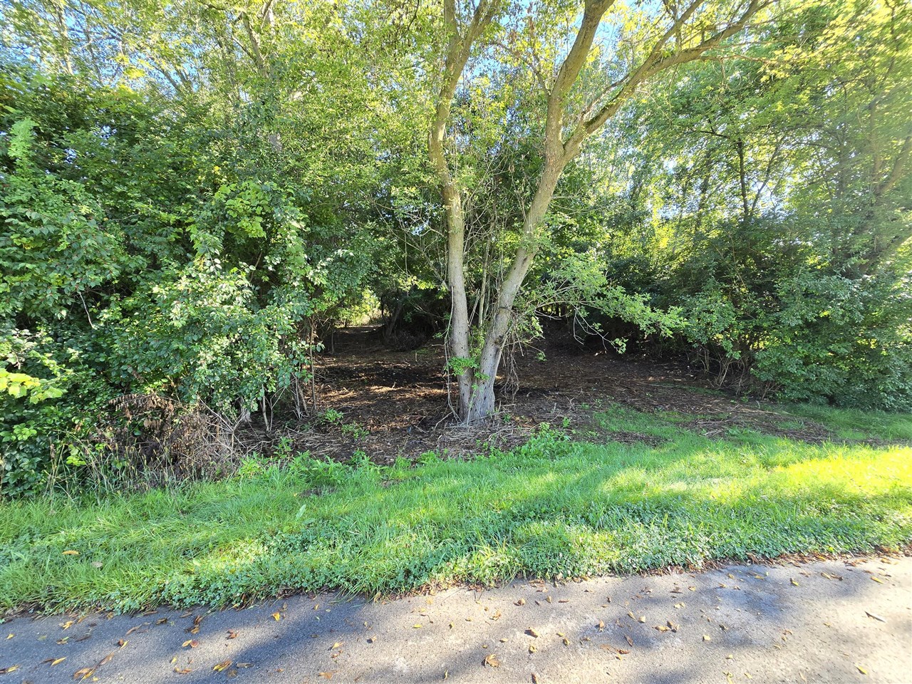 Land for sale at 0.45 Lot 6 Burning Tree Ln, Jackson, MI 49201 | MLS# 70546713