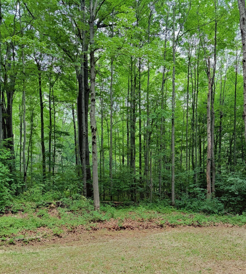 2nd image of 109 Bluff Rd, Le Roy, MI 49655 | MLS# 70546714