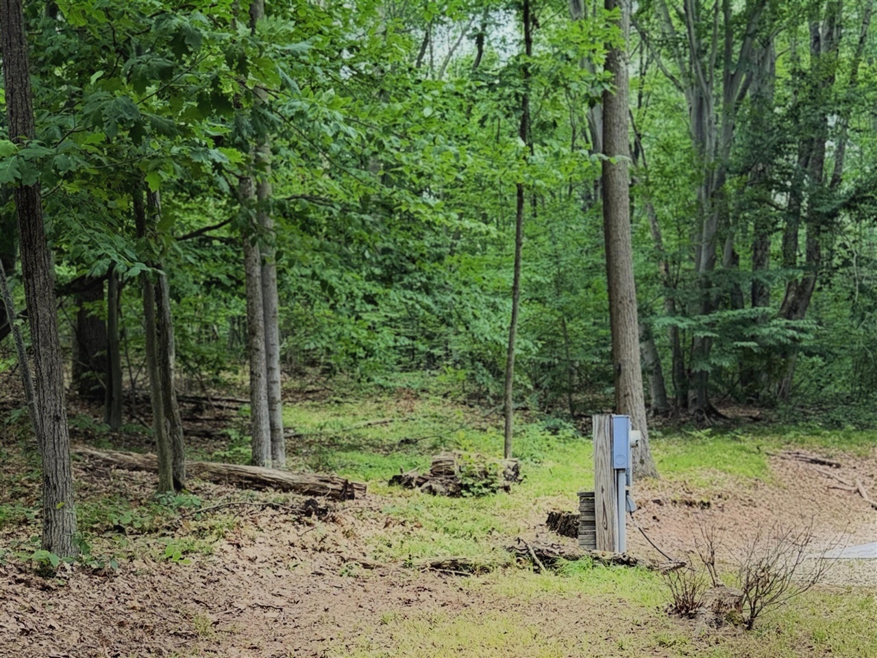 3rd image of 109 Bluff Rd, Le Roy, MI 49655 | MLS# 70546714