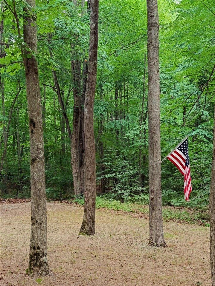 4th image of 109 Bluff Rd, Le Roy, MI 49655 | MLS# 70546714